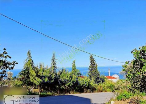 Akçaabat Darıcada Anayola 1300mt Mesafede 520m2 Villalık Arsa