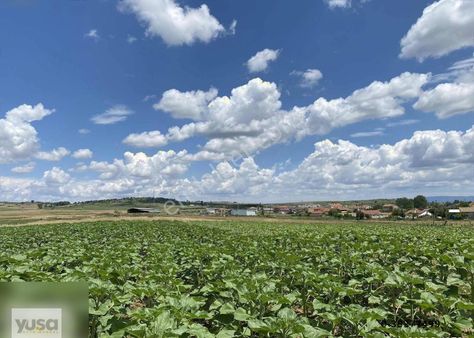 Yuşa`dan Balabancık`ta 175m2 İmarlı Arsa Detaylar Açıklamada