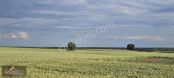 Edirne Süloğlu Tatarlar'da Satılık Arazi