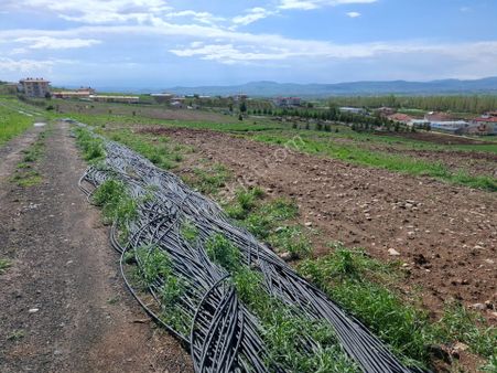 Osman Gülcan'dan Akkuzulu'da Bahçe,çiftlik,yatırıma Uygun Tek Tarla