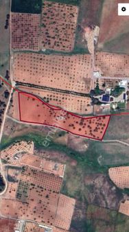 Budak(kabarcık) Mah Satılık Tarla