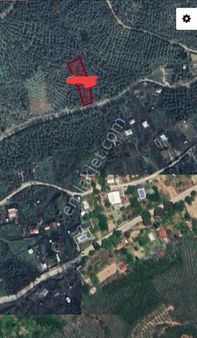 Küçük Kumla Haydariye Yolu Üzerinde Satılık Zeytinlik