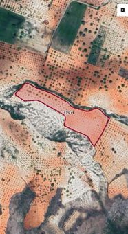 Çakal(damlacık) Mah Satılık Bağ & Bahçe