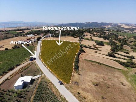 Seçil Bora’dan Satılık Hisse