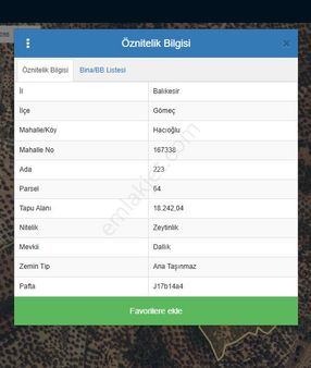 Balıkesir Gömeç' Te Verimli Zeytinlik