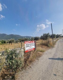 Kuşadası Cınarkoyde Satılık Müstakil Tapulu 3700m2 Ana Yola Sıfır Bahçe