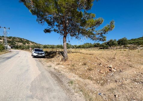 Türe Gayrimenkulden Silifke Bahçederesi Köyiçi Tarla Satılık