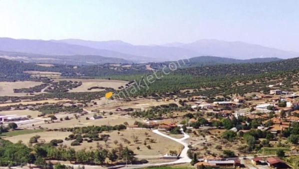 Burdur Çavdır İshakköyde 5833m2 Tarlamız Acil Satılıktır