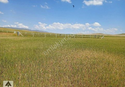 My Ekipdenankara Sincan Temelli Gazi De İmarlı İfrazlı Yerleşime Yakın Resmi Yola Cemüstakil Arsa