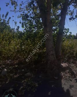 Burdur Merkez Halıcılarda Satılık Arsa .bağ . Bahçe ...