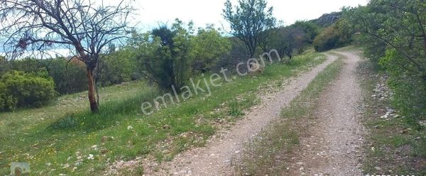 Burdur Merkezde ( İlyaskoy Da . Göl Manzaralı Satılık Tarla+