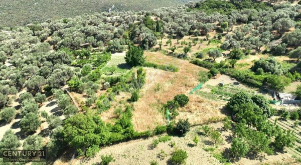 Karaburun 'da Eğlenhoca Köyünde Satılık Tarla...