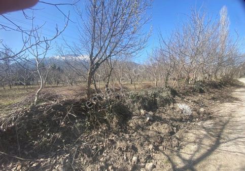 Burdur İli Çeltikçi İlçesi Bağsaray Köyünde Satılık Hobi Bahçesi