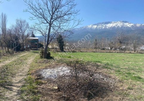 Burdur İli Çeltikçi İlçesi Bağsaray Köyünde Satılık Tarla