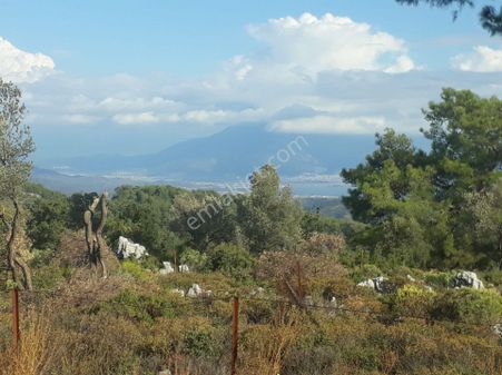 Muğla Fethiye Gökçeovacıkta Satılık Tarla