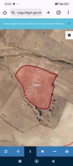 Güneydere Mahallesi Hisseli Azari