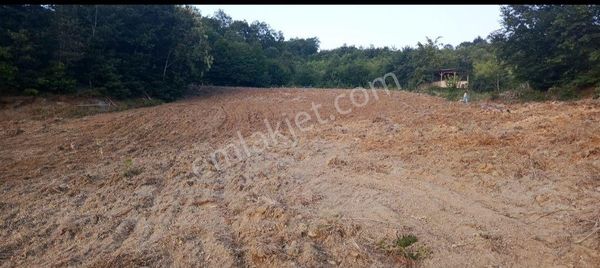 Elmas Gayrimenkul Den Kestel Orhanıye De Satılık Tarla