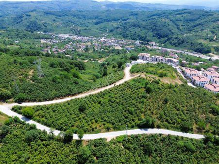 Düzce Yazlıkta Tokiye Komşu 5266 M2 Satılık Tarla Fırsatı !