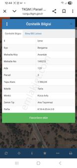 Satılık İzmir Bergama Avunduk Köyü Yola Bitişik Tarla