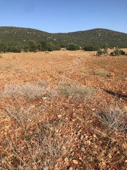 Kale Kayabaşı Mevkisinde 14.450 M2 Satılık Tarla