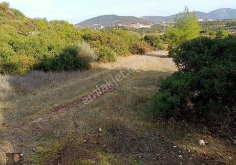 Didim Akyenikoyde İmarlı Villa Arsası