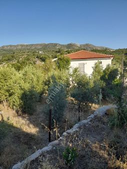 Mülk Emlak Satilik Arsa Sogut