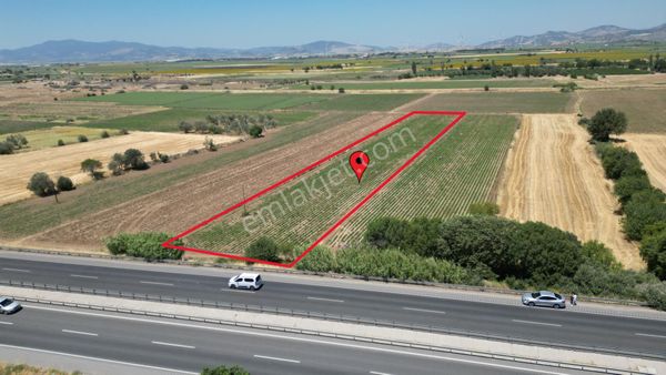Bergama Kurfallı Da Çanakkale Asfaltına Sıfır Satılık Tarla
