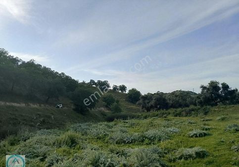 Ödemiş Kurcuova Mahallesinde Satılık İmarlı Arsa