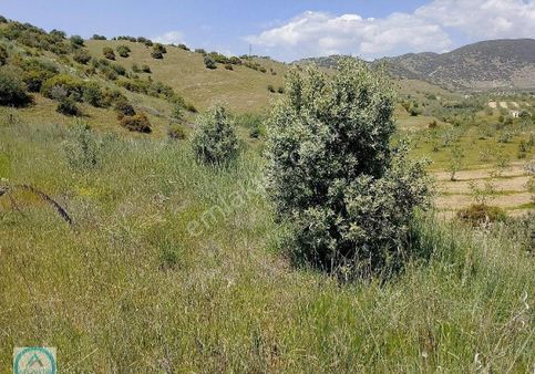 Atlantik Den Satılık Arazi