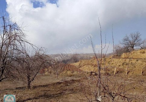 Ödemiş Ovacık Yaylasında Satılık Hobi Bahçesi