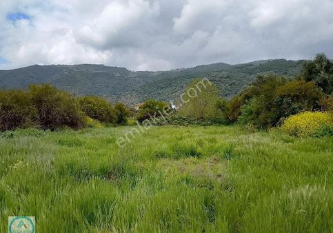 Ödemiş Üzümlü Mahallesinde Satılık Hobi Bahçesi