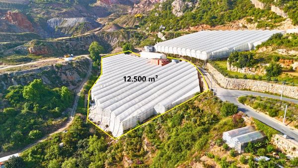 Satılık 12.500 M² Muz Serası, Alanya-toslak