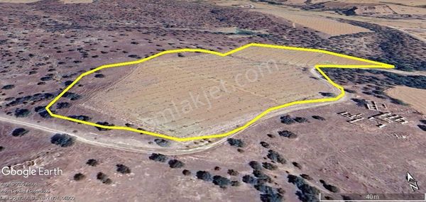 Yuvam Gayrimenkul'den Satılık Uşak Eşme Ahmetler Köyünde 60 Dönüm Bademlik Cevizlik