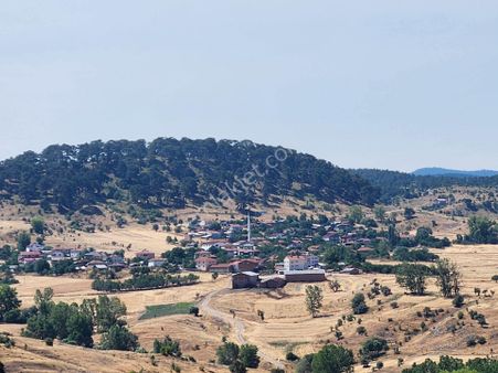 Bolu Gerede Ankara Otoyoluna 1 Km Mesafe 1510 M2 Tarla 210 Bintl