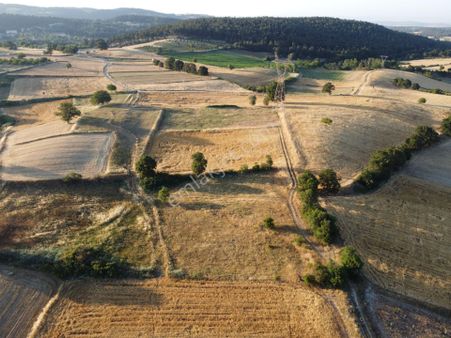 Elfi Den Balıkesir Konakpınar Mah. Satılık Tarla