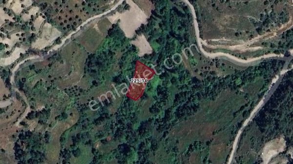 Elvan Özçelik'den Kalem Köyünde Satılık Tarla