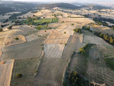 Elfi Den Balıkesir Konakpınar Mah. Satılık 2956 M2 Tarla