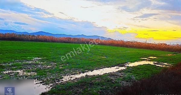 Milas Avşar'da Havalimanına Yakın Yola Sıfır Satılık Bağ&bahçe