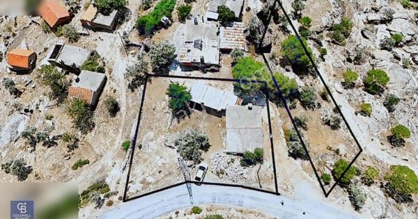 Milas Çamlıyurt'ta Köyiçin'de İmarlı Kargır Ev Ve Zeytinlik