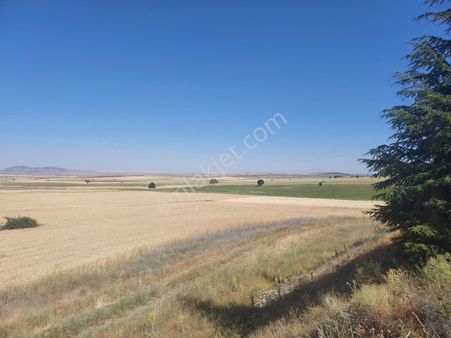 Seyitgazi Sarayörende Yola Sıfır Satılık Tarla
