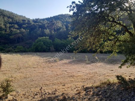 Manisa Yunusemre Çamlıca Mah. Satılık Tarla