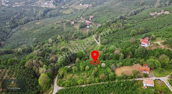 Sinerji Gruptan Sümbüllü'de 8.336m2 %40 İmarlı Fındıklık