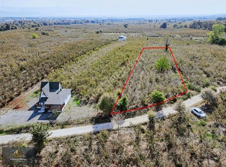 Kazımıye Mahallesı'nde 1750 M2 Satılık Fındıklık