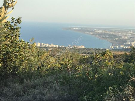 Narlıkuyu-çoku’da Satılık Muhteşem Deniz Ve Doğa Manzaralı Arsa