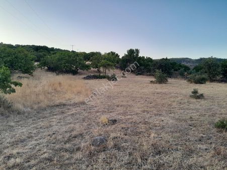 Manisa Yunusemre Çamlıca Mah. Satılık Tarla