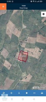 Kırklareli Merkez Yoğuntaş Mah 12.435m Tek Tapu Köye Yakın Tarla