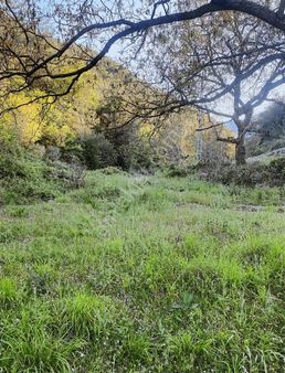 Fırsat Hobi Bahçemiz