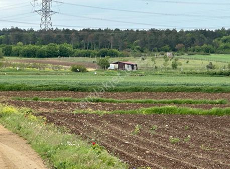 Kırklareli Vize Çakıllıda 4 Dönüm Tek Tapu Kelepir Fiyatlı