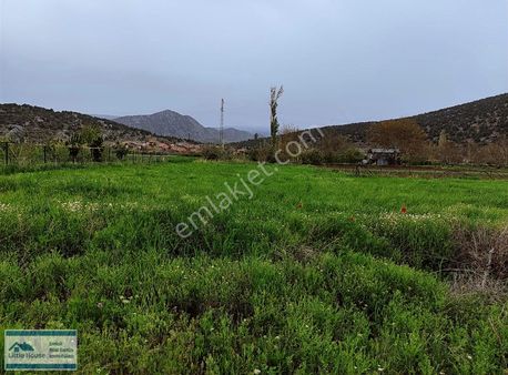 Yenişarbademli Pınarbaşında Yatırımlık Tarla