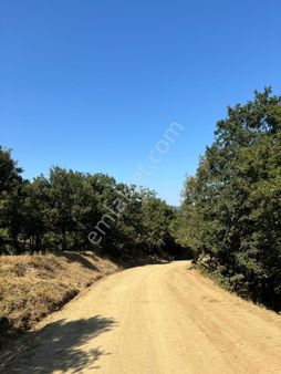 986 M² Tarla Yola Cephe Köye 600 M Yakınlıkta Yukarıinova Yenice Çanakkale